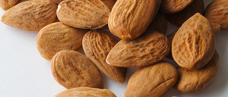 製菓材料・製菓機械 卸売